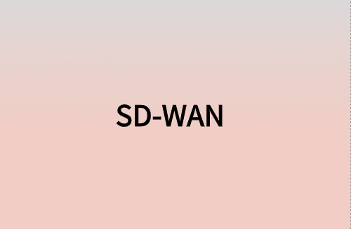 對(duì)企業(yè)而言，SD-WAN意味著什么?
