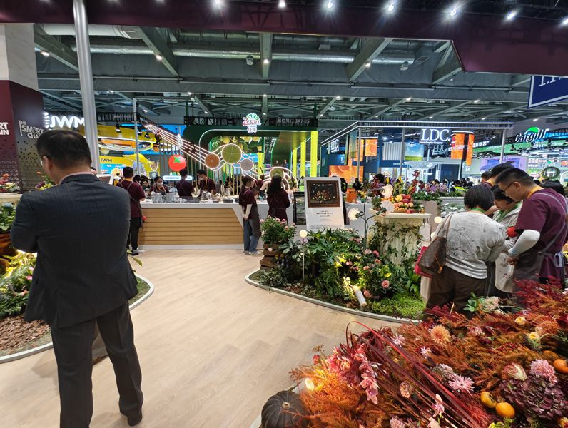 坦桑尼亞展臺設計搭建